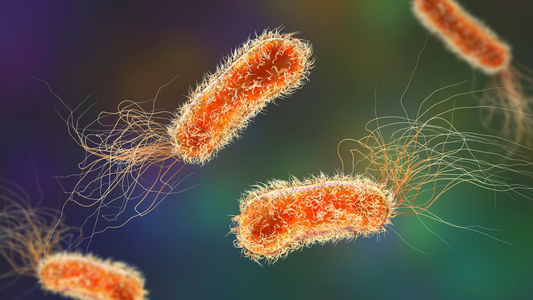 Every second counts: the role of diagnostics in sepsis