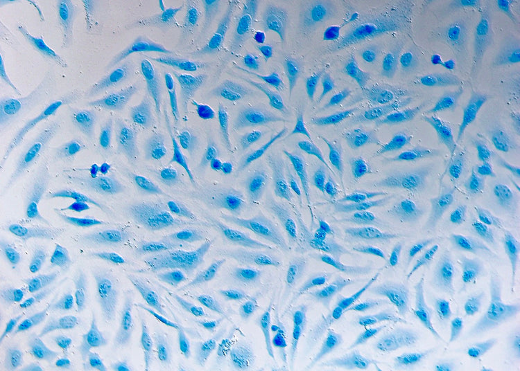 Cell Counting & Analysis