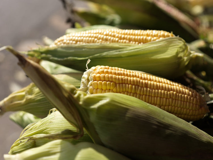 Crops