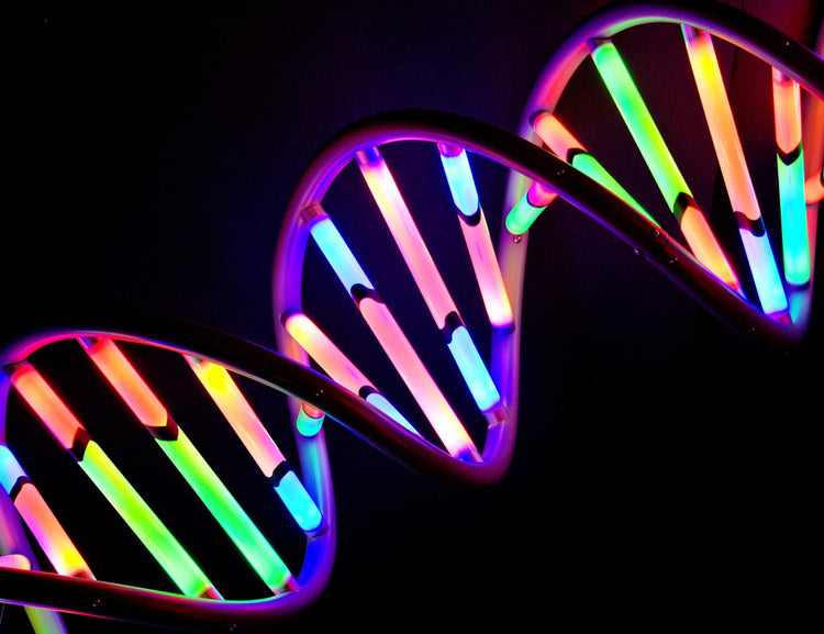 Gene Expression and Quantification