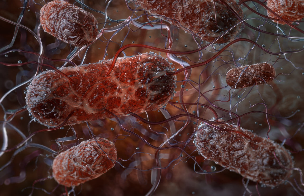 Food Pathogen – Celtic Diagnostics