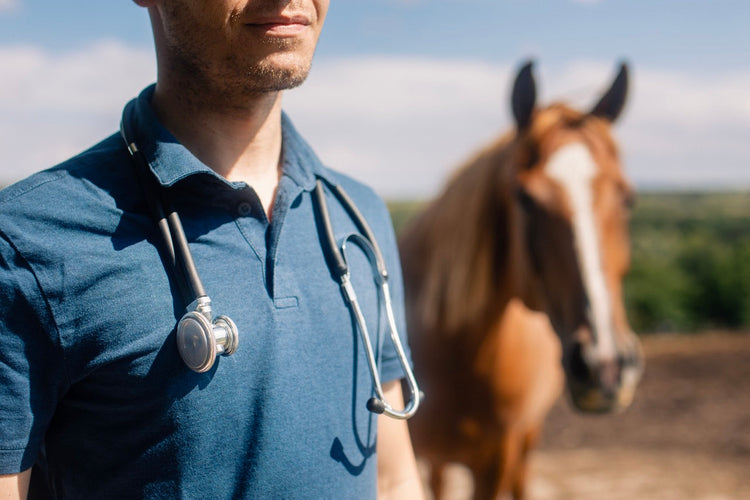 Veterinary